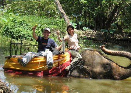 7 Things You Tell People