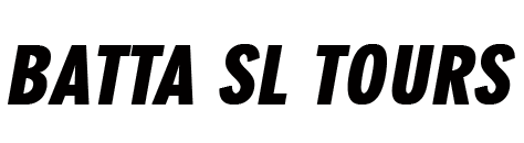 Sticky logo